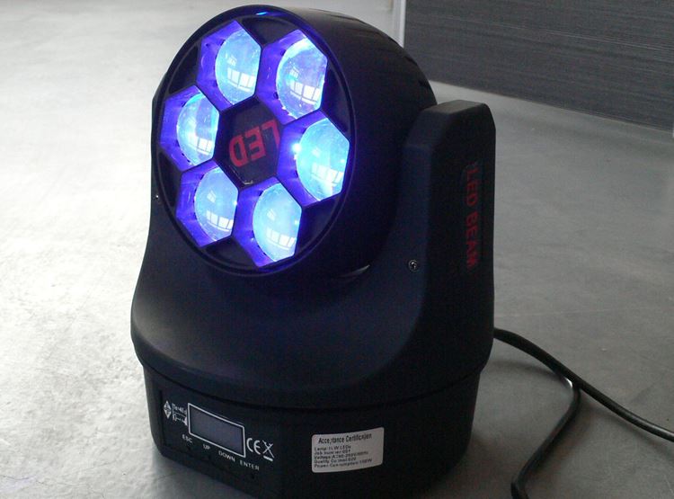 bee eye moving head bee eye moving head